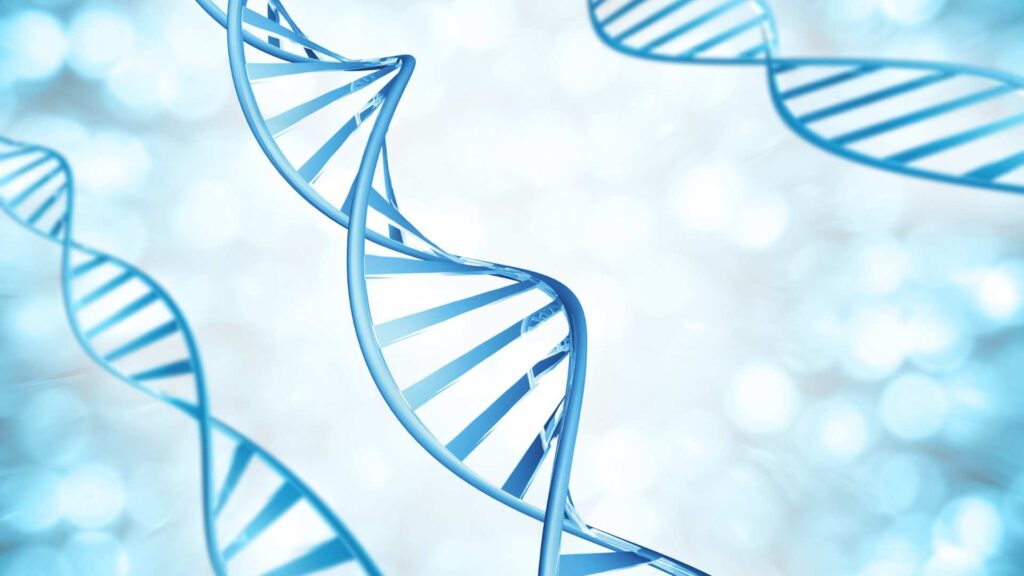 Autism genetics