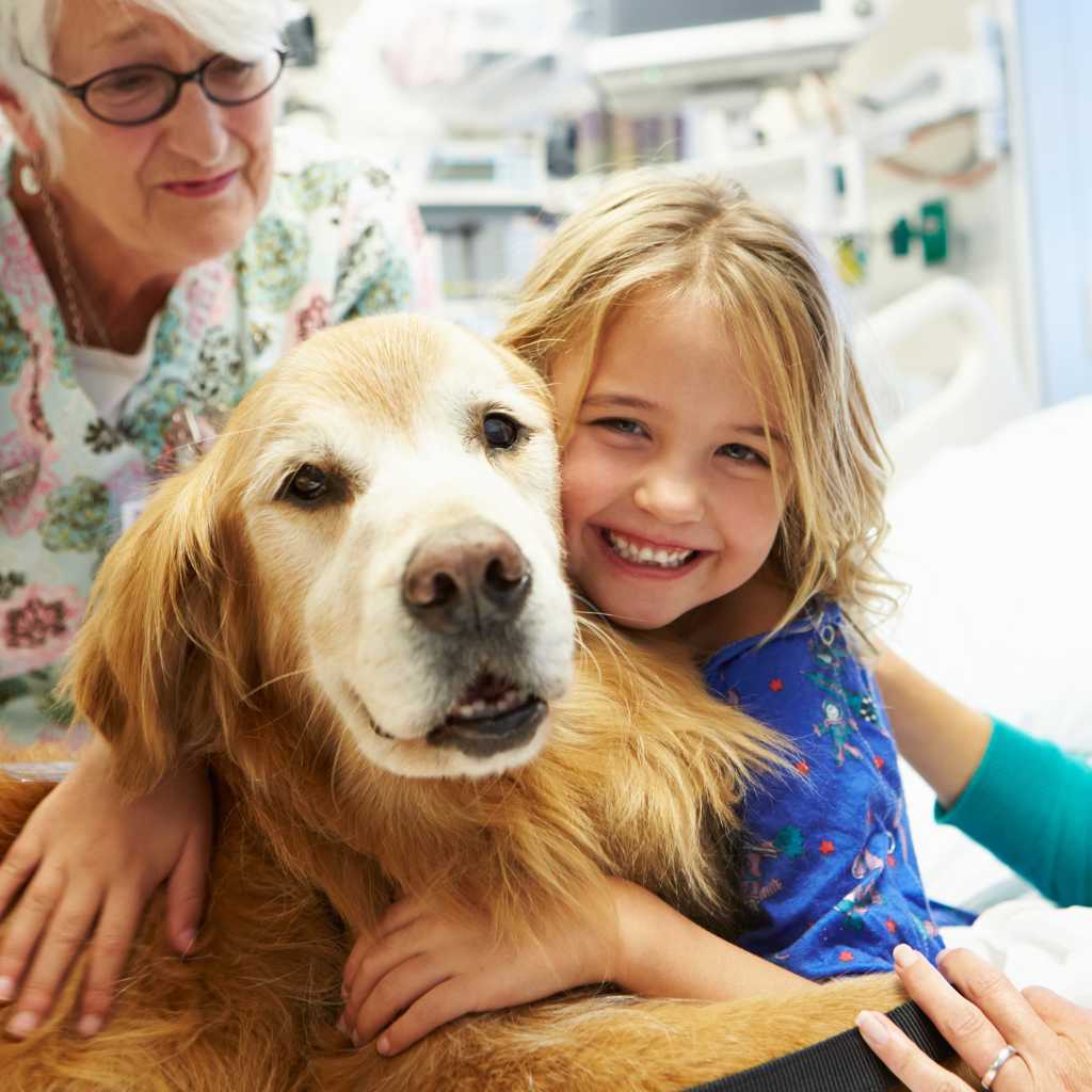 Exploring the Role of Animal Therapy for Autism and Other Conditions